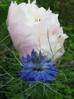 IMG_6091_576x768.webp