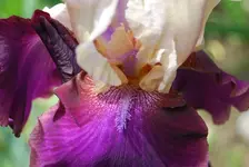 DSC_0066.webp