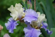 DSC_0122.webp