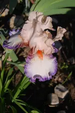 DSC_0025.webp