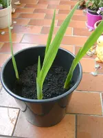 BILD020324244.webp