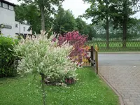 IMG_1584.webp