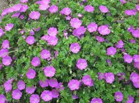 IMG_1592.webp