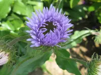 IMG_6100_1024x768.webp