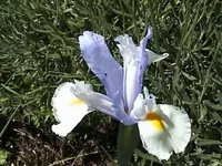 DSC0000k7.webp