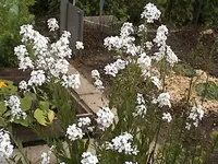 DSC00027.webp