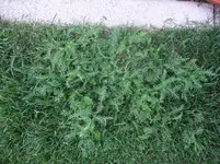 043.webp