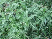044.webp