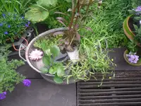 15.06.2010 001.webp