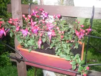 15.06.2010 004.webp