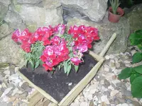 15.06.2010 005.webp