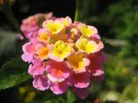 IMG_3190.webp