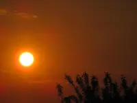 IMG_1607.webp