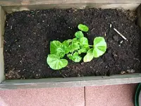 DSCF3478.webp