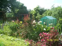 100_2510.webp