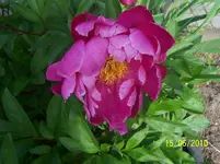 100_2513.webp