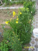 100_2516.webp
