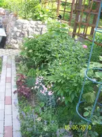 100_2518.webp