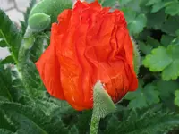 IMG_5937_1024x768.webp