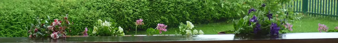 160610-2.webp