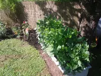 16.06.2010 016.webp