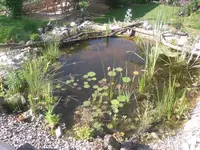 16.06.2010 023.webp