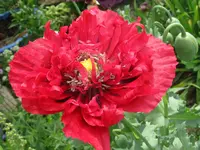 IMG_6096_1024x768.webp