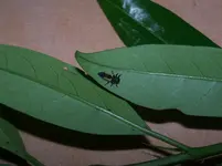 100_2409.webp 100_2409.webp