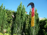 100_2398.webp
