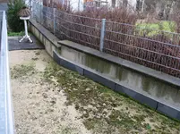 IMG_4189.webp IMG_4189.webp