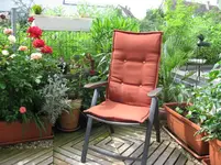 IMG_1927.webp IMG_1927.webp