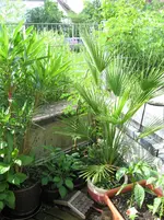 IMG_1926.webp IMG_1926.webp