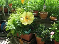 IMG_1924.webp IMG_1924.webp
