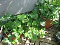 IMG_1923.webp IMG_1923.webp