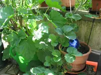 IMG_1922.webp IMG_1922.webp