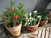 IMG_1919.webp IMG_1919.webp