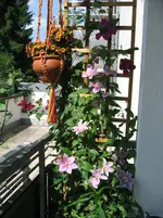 IMG_1918.webp IMG_1918.webp