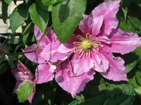 IMG_1833.webp IMG_1833.webp