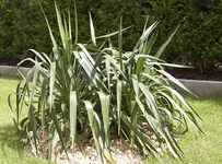 IMG_4155.webp