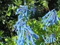IMG_6128_1024x768.webp