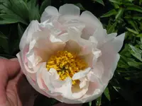 IMG_6109_1024x768.webp