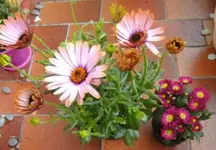 BILD02035555555.webp