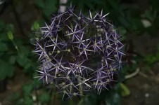 DSC03128.webp