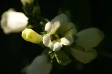 DSC03134.webp