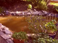 Garten 016.webp