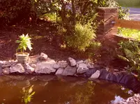 Garten 015.webp