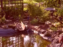 Garten 006.webp