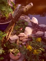 Garten 005.webp