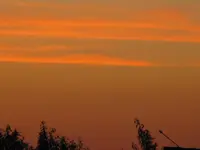 IMG_1617.webp