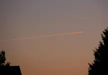 DSC_5509.webp